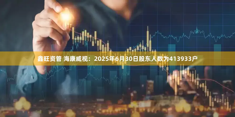鑫旺资管 海康威视：2025年6月30日股东人数为413933户