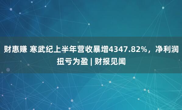 财惠赚 寒武纪上半年营收暴增4347.82%，净利润扭亏为盈 | 财报见闻