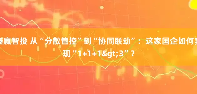 鑫赢智投 从“分散管控”到“协同联动”：这家国企如何实现“1+1+1>3”？